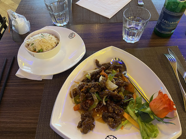 Opinii despre Dragon în Chavannes-près-Renens - Gastronomie und Hotellerie