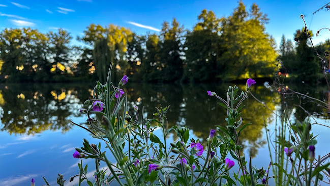 Comentarii opinii despre Restaurant Weiher Theres Glarner