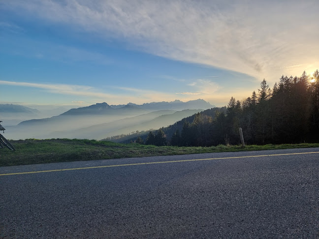 Comentarii opinii despre Kafi Anton GmbH