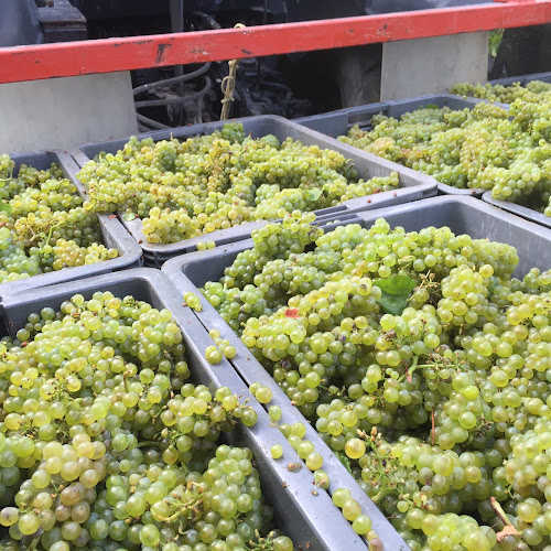 Marktgasse 16, 2502 Biel