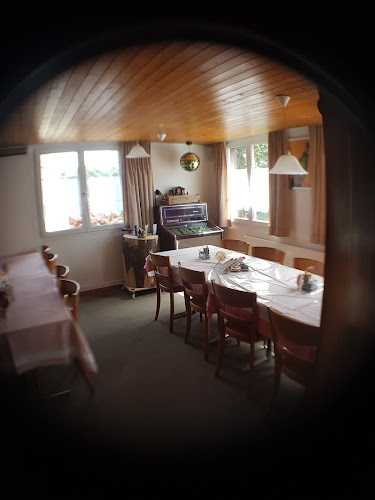 Comentarii opinii despre Adler