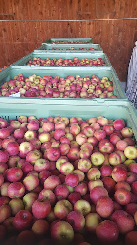 Comentarii opinii despre Verger des Bois