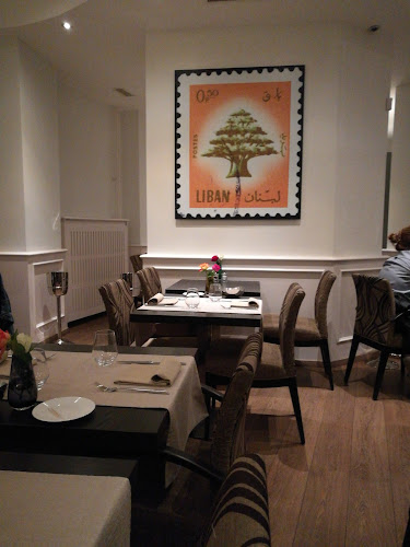 Opinii despre Restaurant Chez Fouad în Geneva - Gastronomie und Hotellerie