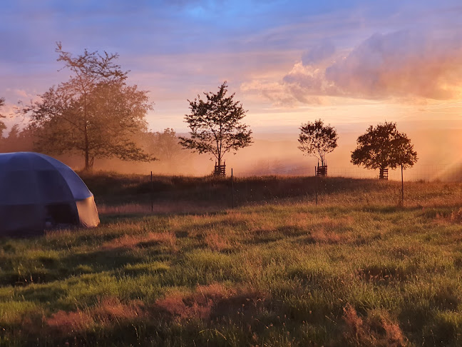 Untersüren 1, 6318 Walchwil