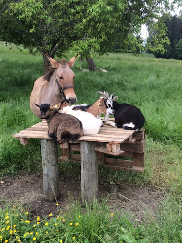 La Pierreberg 8, 2823 Courcelon