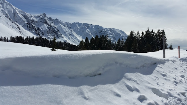 Comentarii opinii despre Schönau- Urnäsch