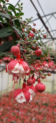 Point Vert Production & vente directe Saxon - Gastronomie und Hotellerie