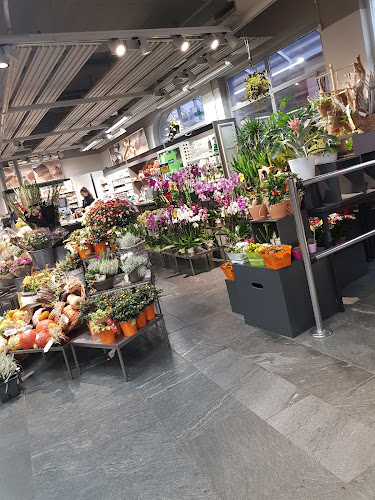 Opinii despre Coop Restaurant La Tour-de-Peilz în La Tour-de-Peilz - Gastronomie und Hotellerie