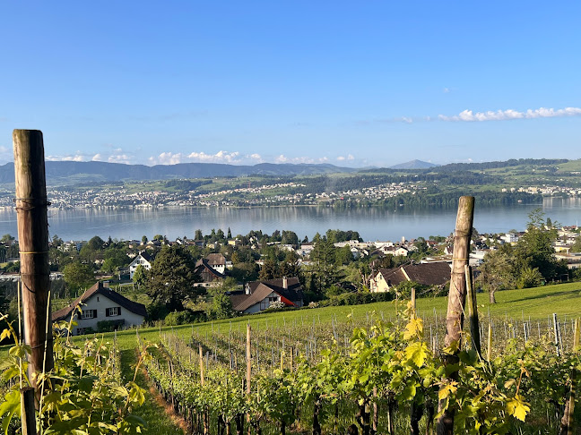 Heiri Bolleter Weinbau GmbH