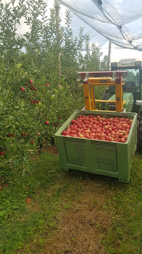 Verger des Bois - Bernex