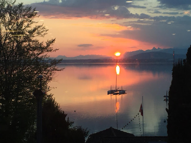 Comentarii opinii despre Le Deck By O'Five