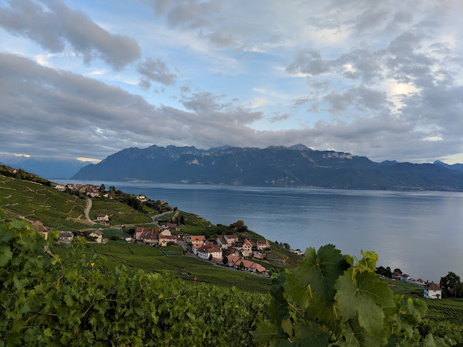 Domaine Vitis Musicalis - Gastronomie und Hotellerie