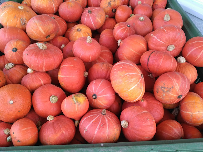 Opinii despre Obst-und Gemüsehof Wurbs GmbH în Emmen - Gastronomie und Hotellerie