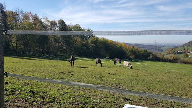 Restaurant & Reithof Egglisgraben - Pratteln