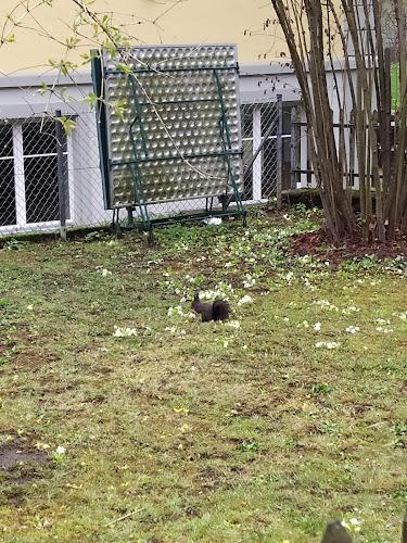 Comentarii opinii despre Farmers Market Frauenfeld