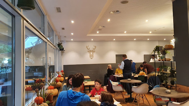 Erlenparkweg 55, 4058 Basel