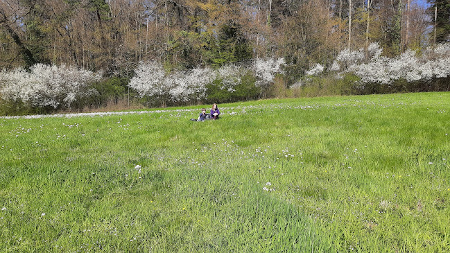 Comentarii opinii despre Selbstbedienung im Wildpark Roggenhausen