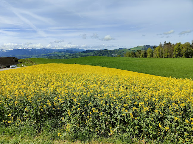 Comentarii opinii despre Panorama Restaurant Chutze