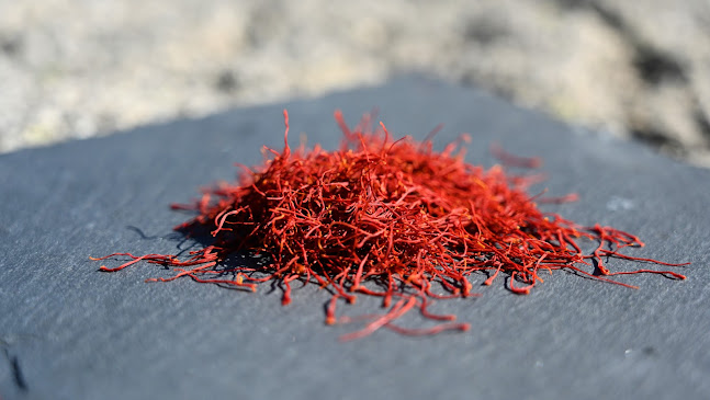 Opinii despre Rubius Switzerland GmbH în Opfikon - Gastronomie und Hotellerie