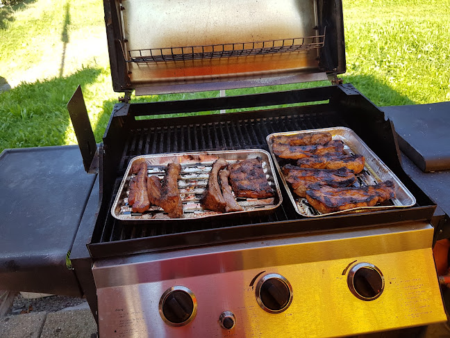 Comentarii opinii despre Adler