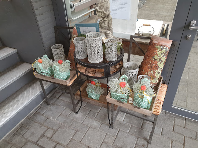 Opinii despre il tiglio în Hedingen - Gastronomie und Hotellerie