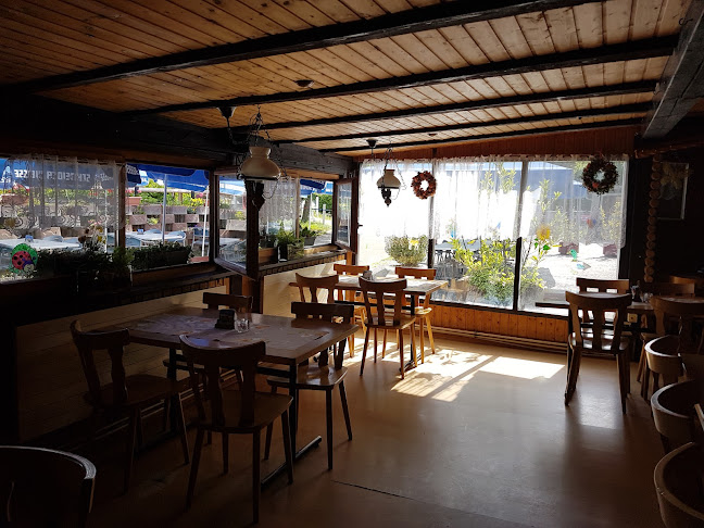 Comentarii opinii despre Crazy Horse