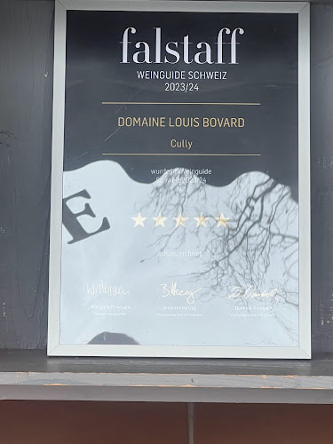 Comentarii opinii despre La Maison Rose