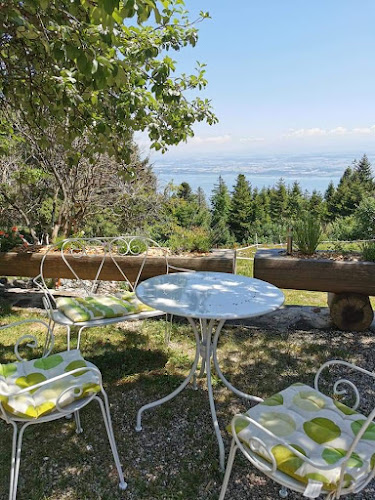 Opinii despre Fruitière de Bevaix în Bevaix - Gastronomie und Hotellerie