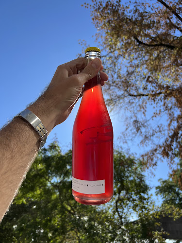 Céleste - Café, Bar, Cave - Vevey