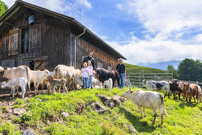 Euthalerstrasse 34, 8844 Euthal