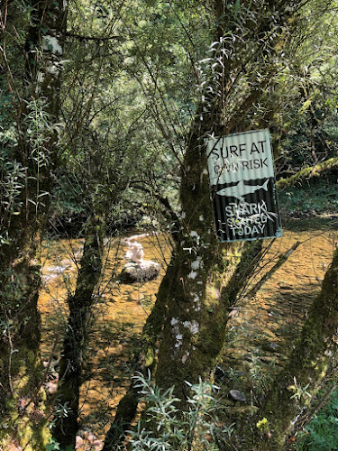 Buvette Rive-Gauche et appartement de vacances à Champ-du-Moulin - Gastronomie und Hotellerie