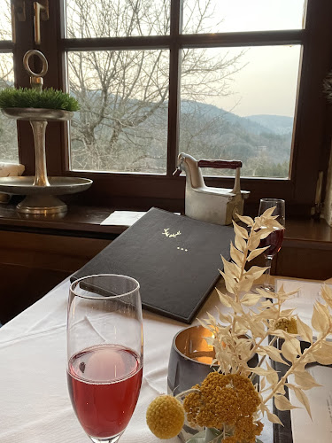 Comentarii opinii despre Hirschen Steinen