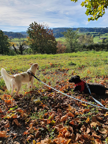 Jägerhaus 5, 9242 Oberuzwil