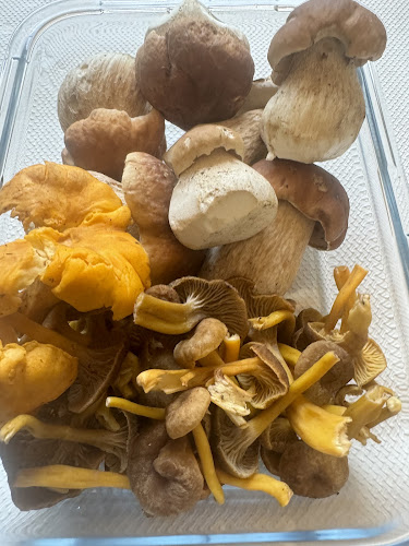 Restaurant Jägerheim - Gastronomie und Hotellerie