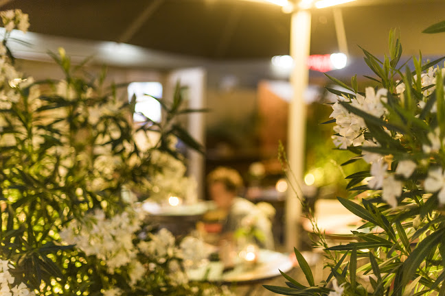 Comentarii opinii despre US-MEX Frauenfeld