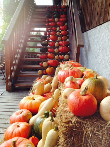 Christian Vaney - Cugy