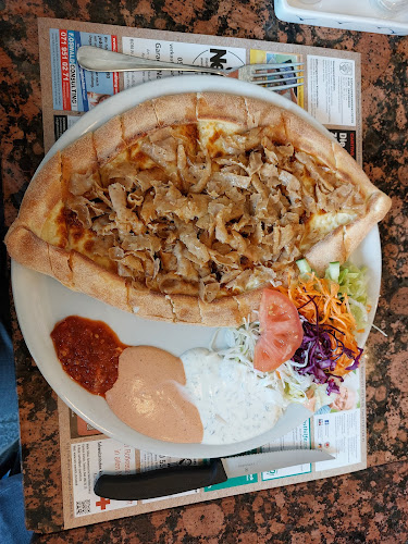 Comentarii opinii despre Payamlino