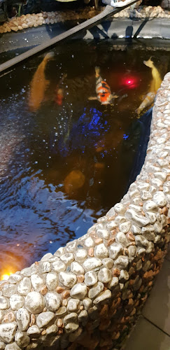 Comentarii opinii despre Asia Town