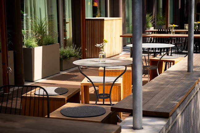 Comentarii opinii despre The Studio