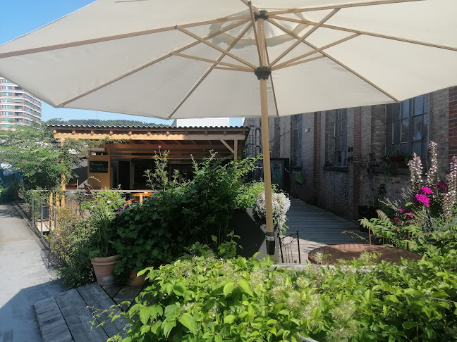 Comentarii opinii despre Badawi