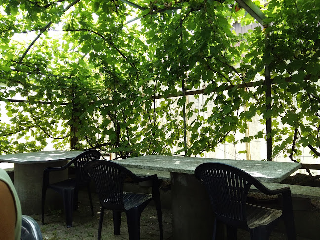 Zum Grünen Baum - Niederurnen