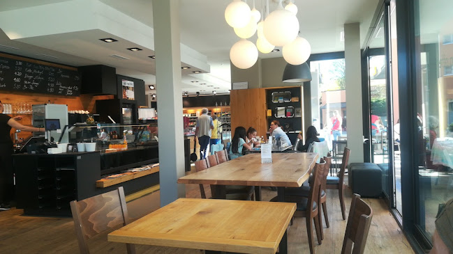 Comentarii opinii despre KölliBeck Gattikon