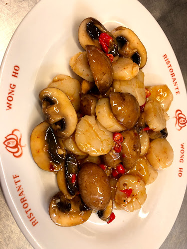 Ristorante Wong Ho - Lugano