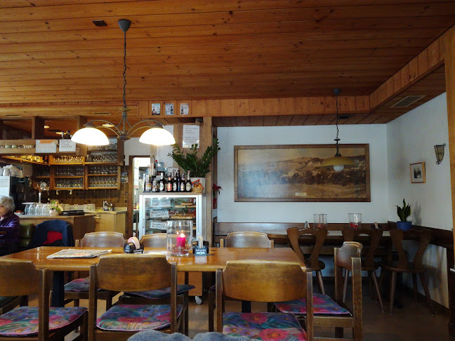 Comentarii opinii despre Adler