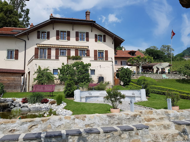 Comentarii opinii despre Domaine Vitis Musicalis