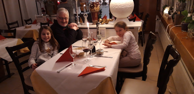 Opinii despre Restaurant Al Ponte în Mellingen - Gastronomie und Hotellerie