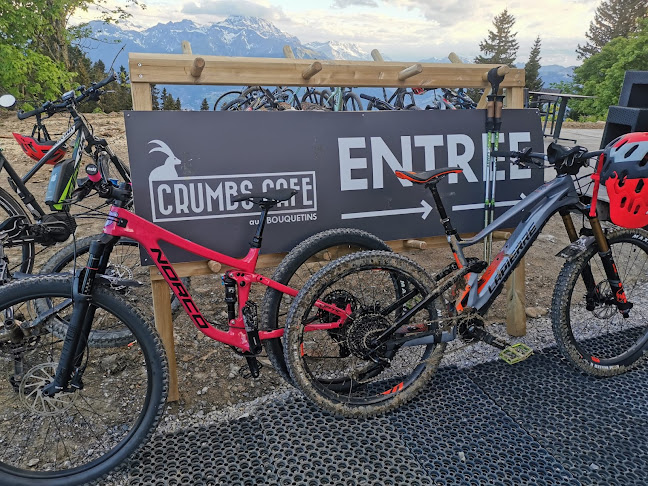 Bretaye, 1884 Villars-sur-Ollon