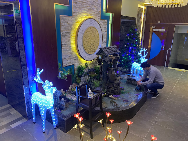 Comentarii opinii despre Brasserie Wok Royal