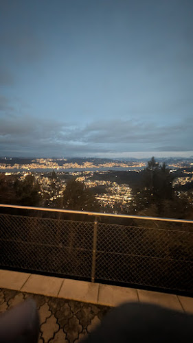 Opinii despre Restaurant Felsenegg în Stallikon - Gastronomie und Hotellerie