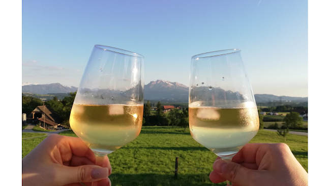 Opinii despre House of Liqueur GmbH în Gisikon - Gastronomie und Hotellerie